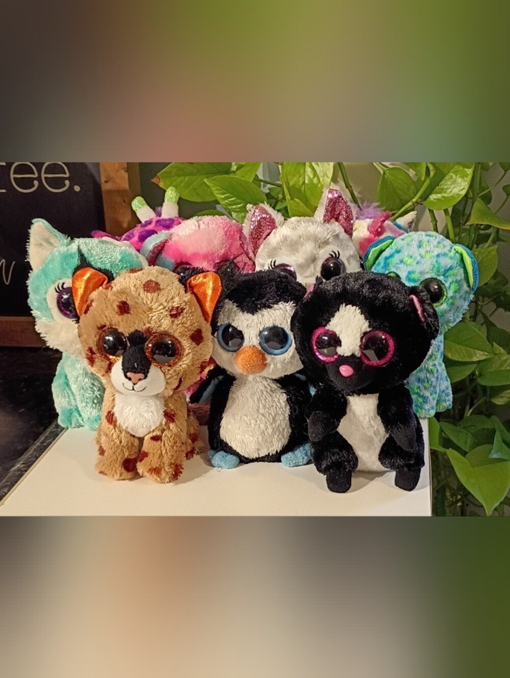 Assorted Plush Animal Beanie-Style Plushies - Multi Color